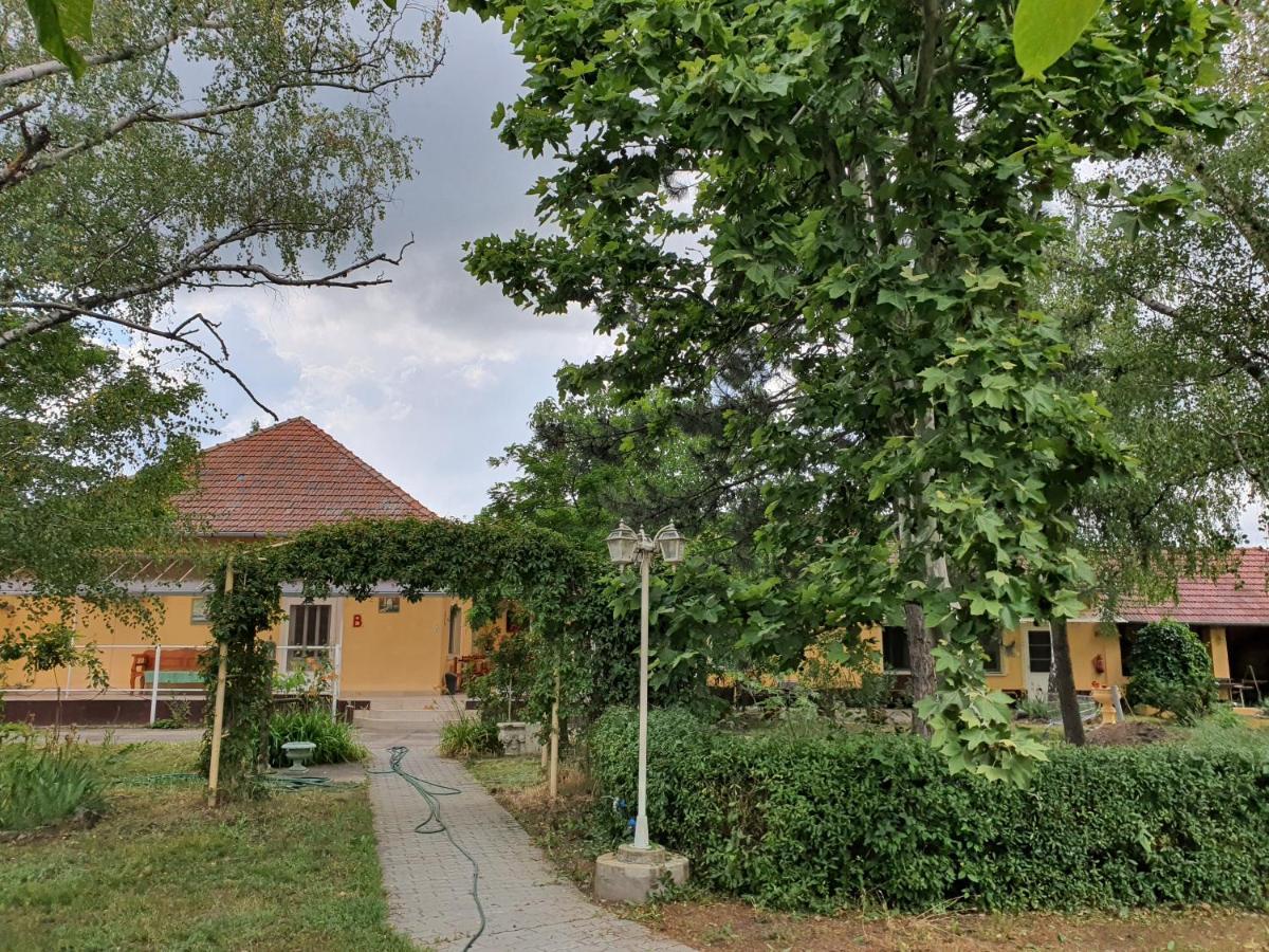 Hotel Platan Szallashely Sándorfalva Exteriér fotografie