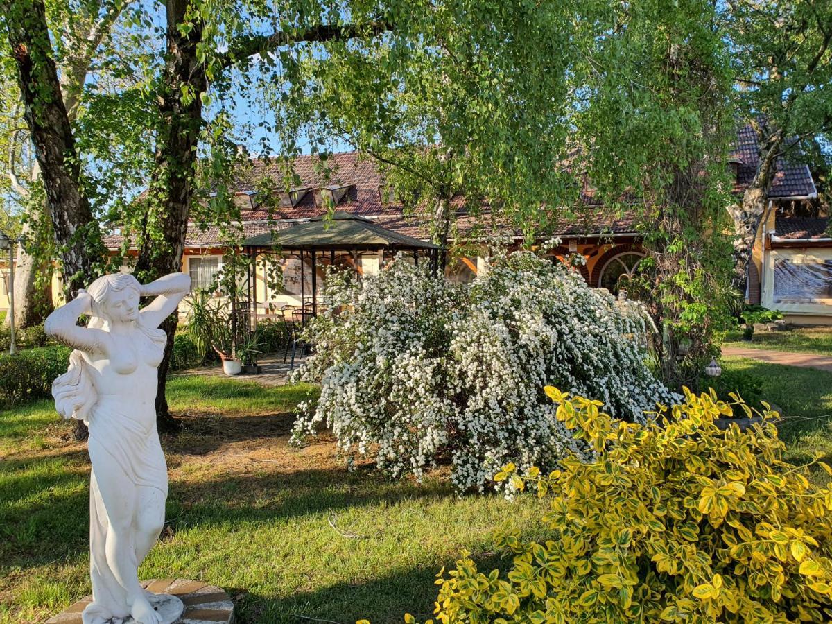Hotel Platan Szallashely Sándorfalva Exteriér fotografie