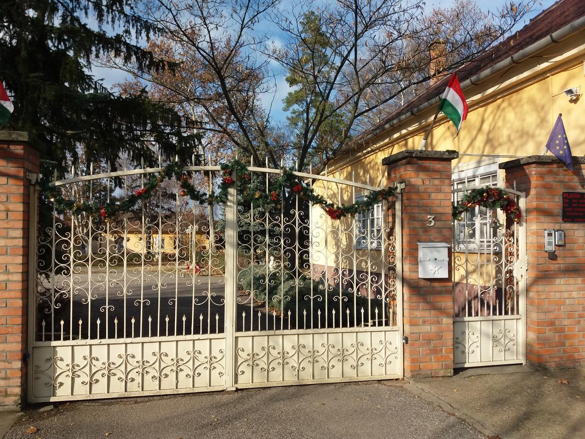 Hotel Platan Szallashely Sándorfalva Exteriér fotografie